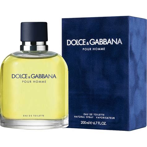 dolce gabbana 200 ml pour homme|Dolce & Gabbana pour homme price.